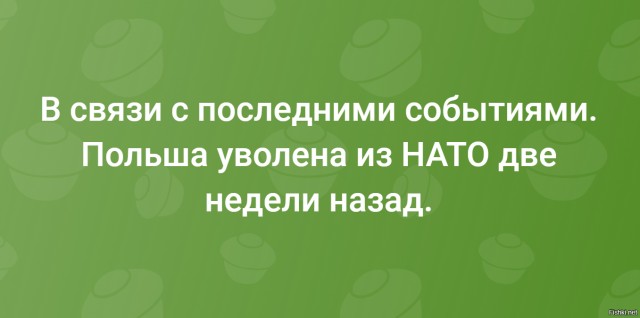 В Польше нашли уже обломки 12 беспилотников.