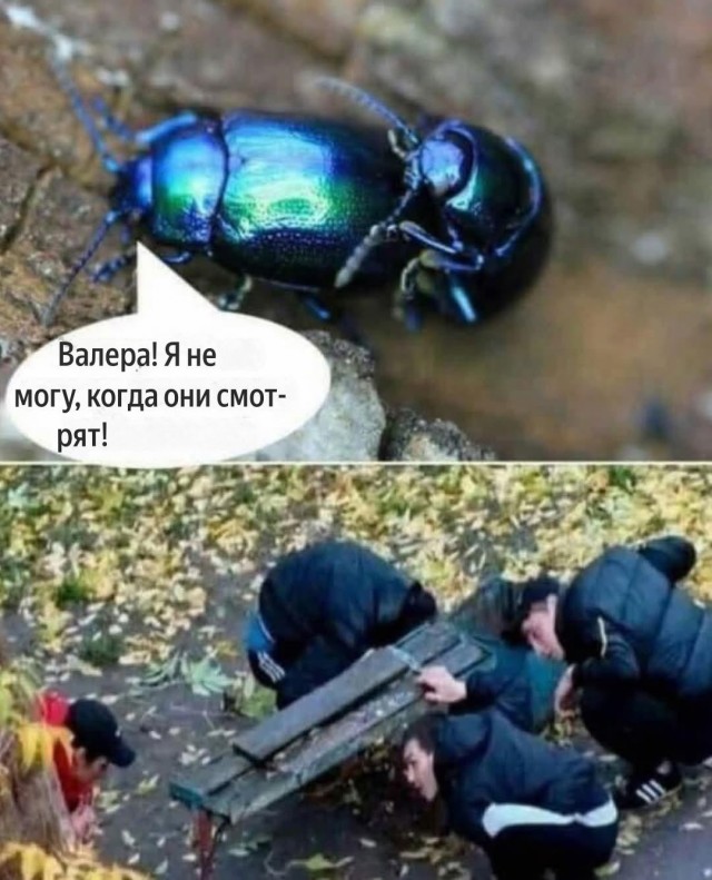 Дэвид Духовный