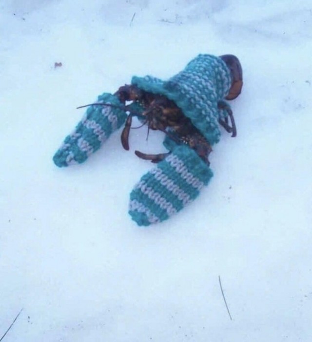 Так много вопросов..