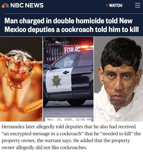 Осторожнее с тараканами