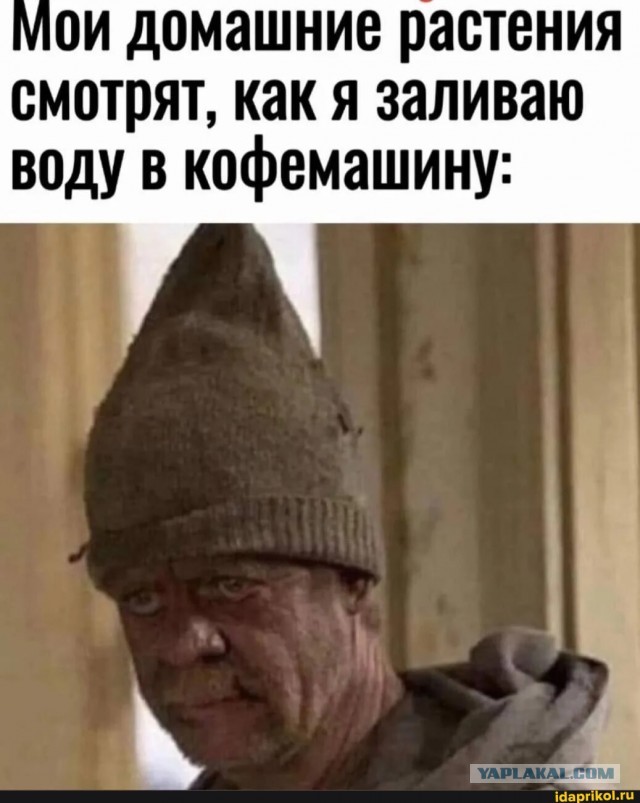 К котовторнику: подборка картинок-баянов с котиками и про котиков. Выпуск 26.