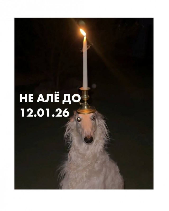 Дегрономикон 8