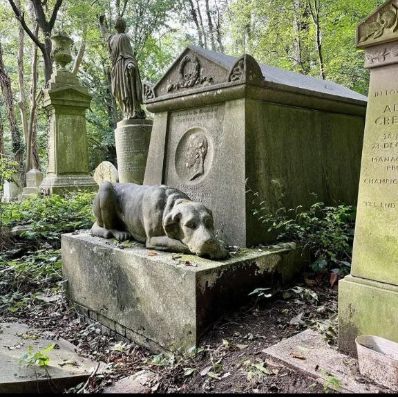 Хатико из 19 века