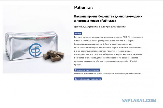 Спасение лисы рыбаками