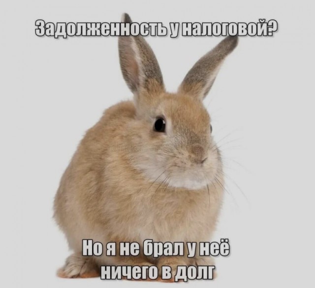 Так себе картинки 22.02.26