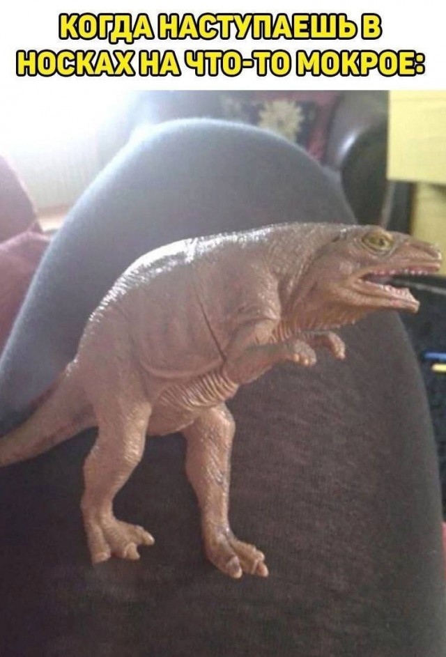 Картинки для деградации 152 (разной степени свежести)