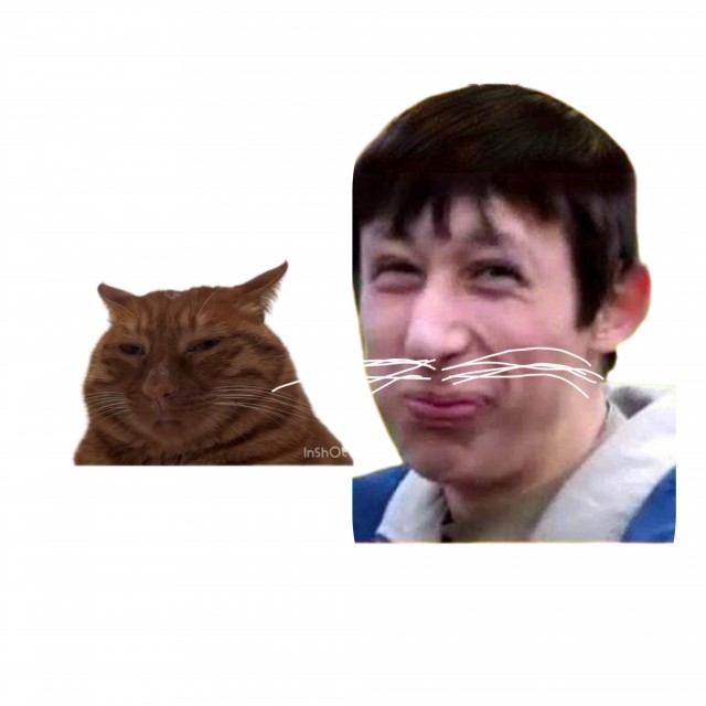 Шуруп познал дзен