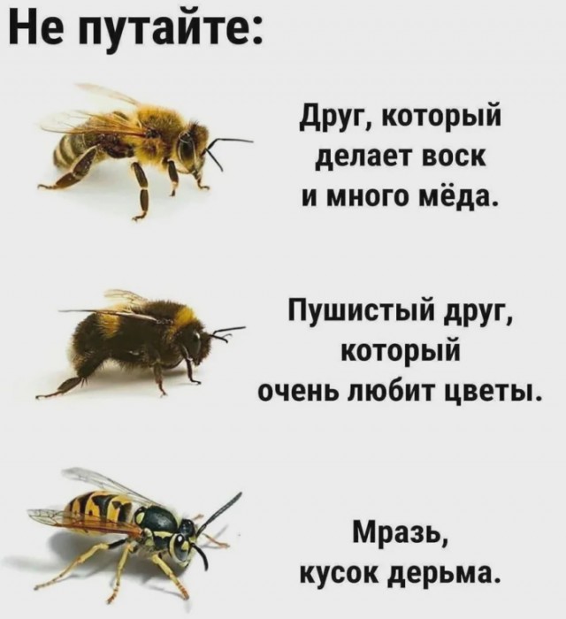 Картинки для деградации 167 (разной степени свежести)
