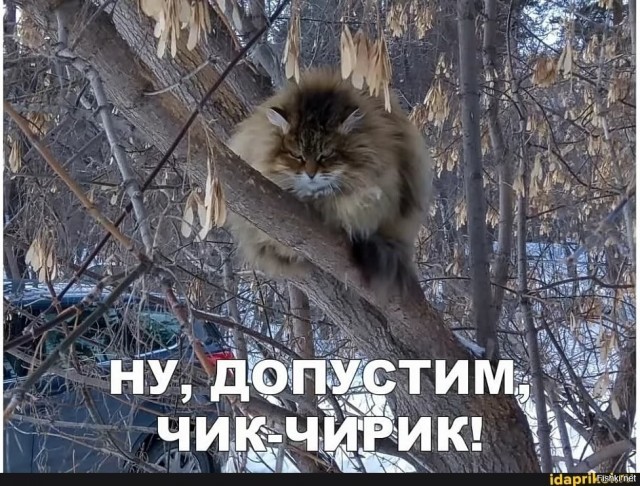 Весенние птицы на деревьях