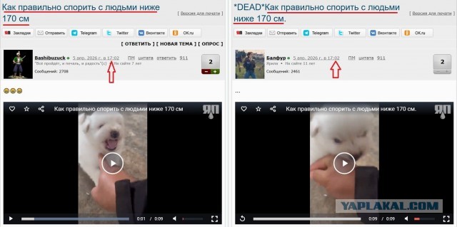 Как правильно спорить с людьми ниже 170 см