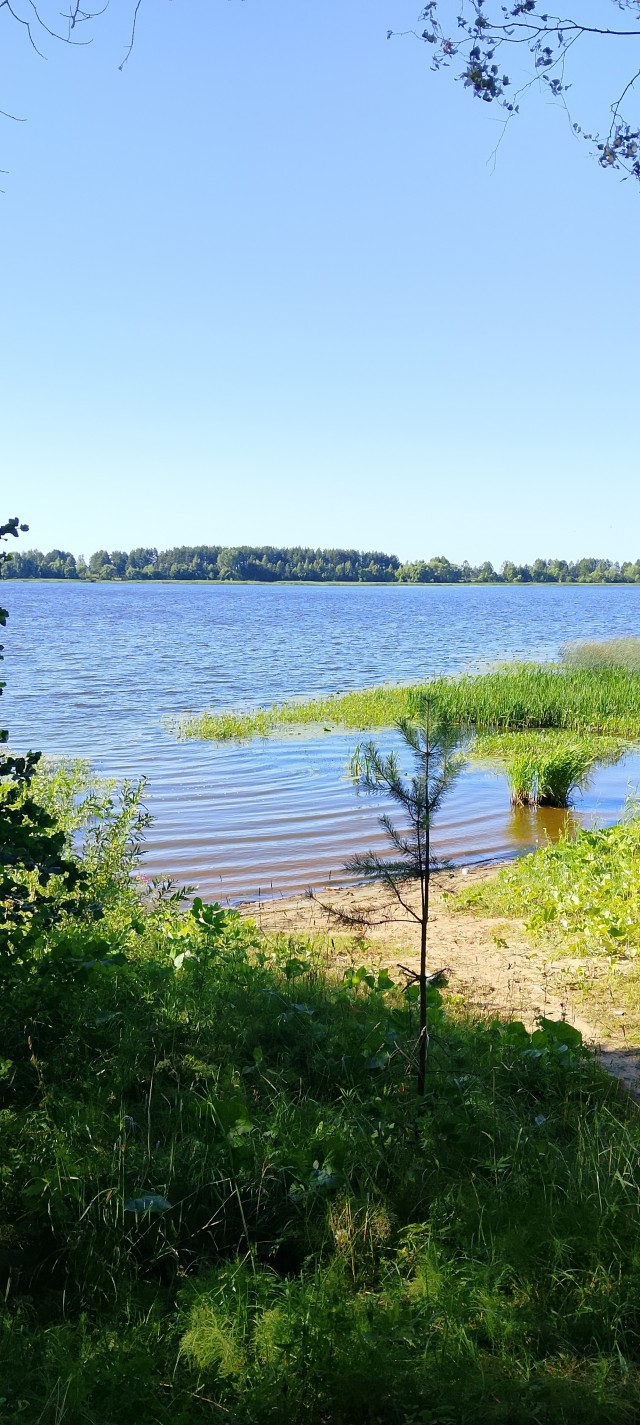 Велопрогулка