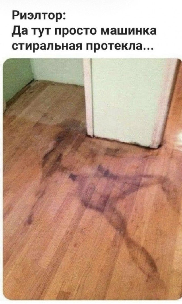 Записки судмедэксперта