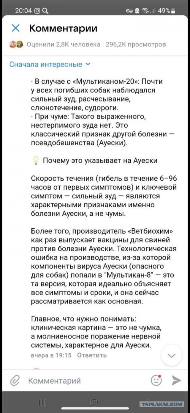 Сотни собак со всей России оказались при смерти после прививки от бешенства вакциной "Мультикан-8"
