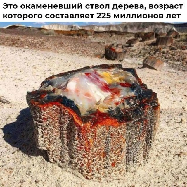 Интересные пятничные фотографии со всего мира