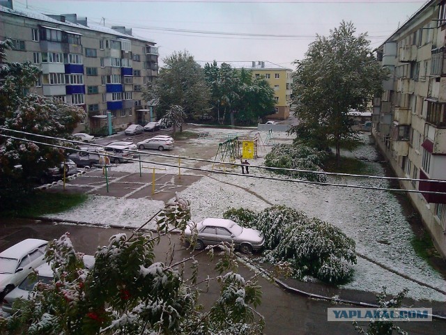 Весна на Сахалине!