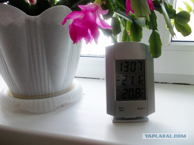 -50.0 У кого ниже?