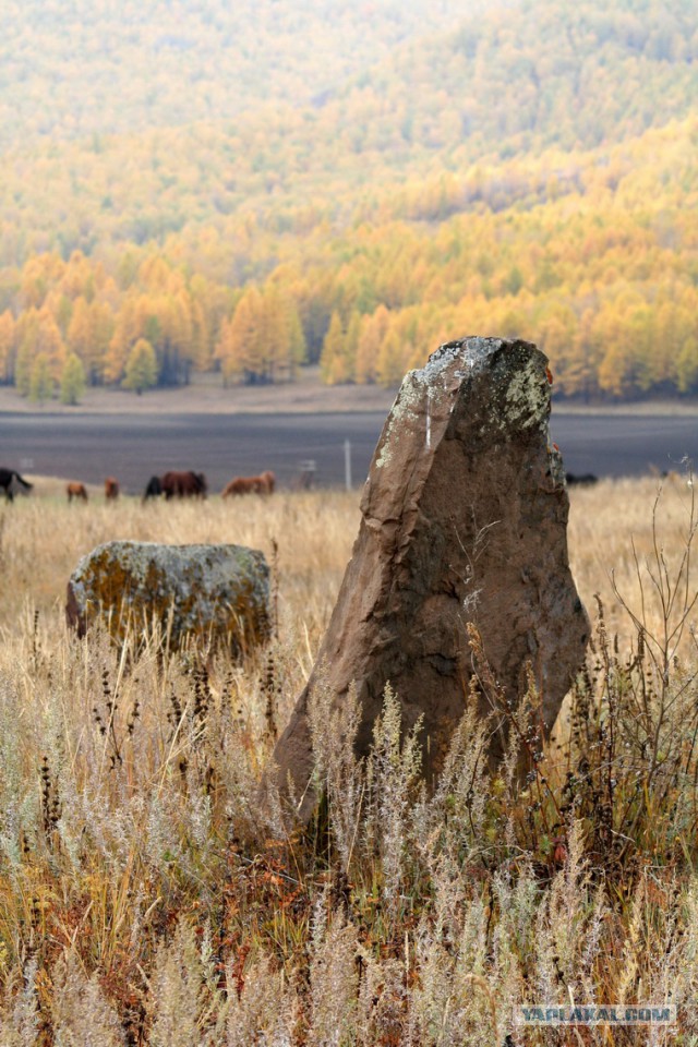 Сибирь настоящая