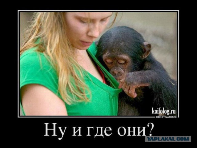 А ну я тоже! Типа я новенькое какбе! Вот.
