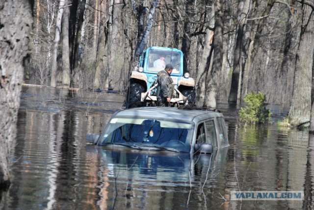 2121 или 33 года