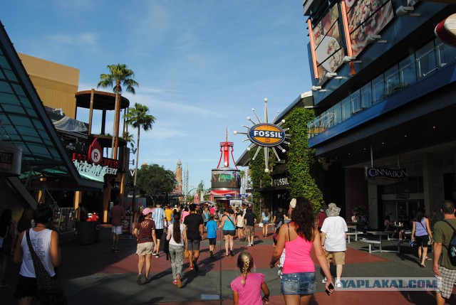 Каникулы во Флориде