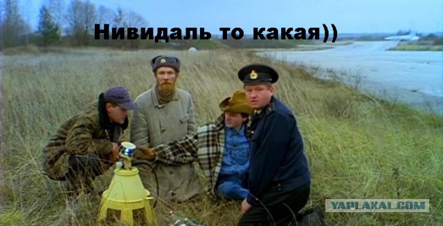 Корова в Запорожце )