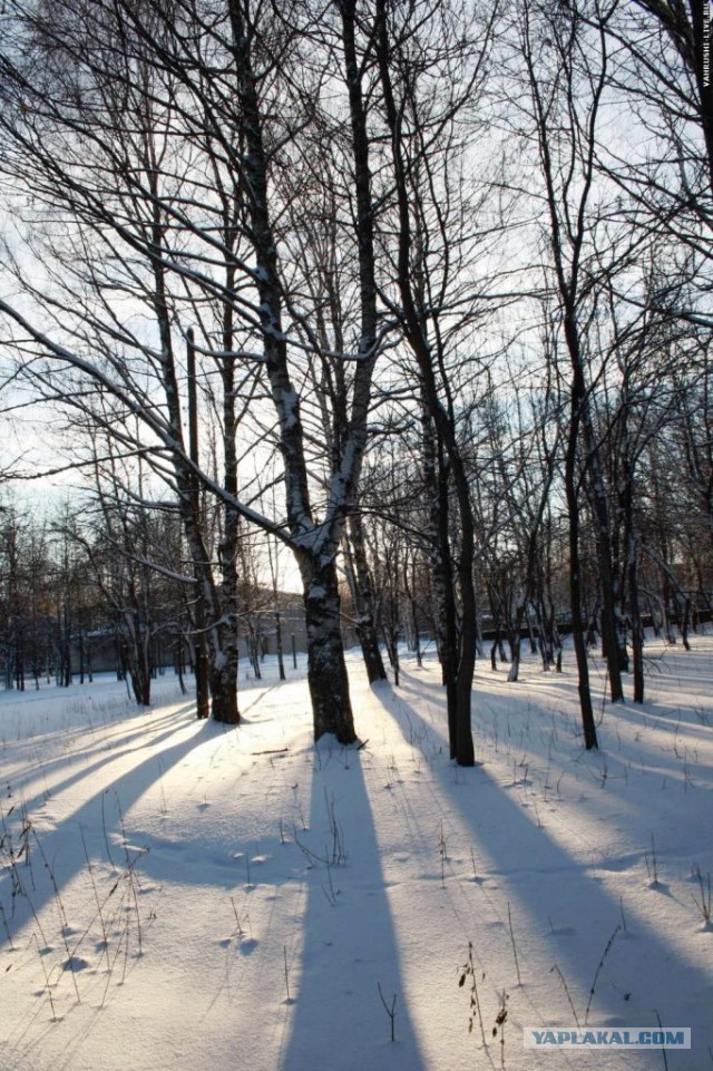 Хочу в Россию.