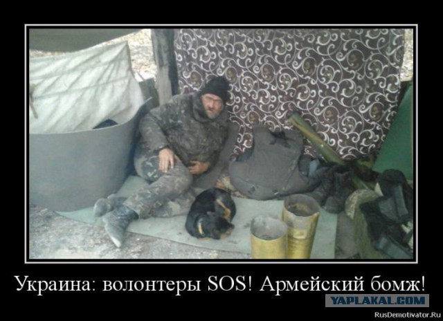 Подборка забавных демотиваторов