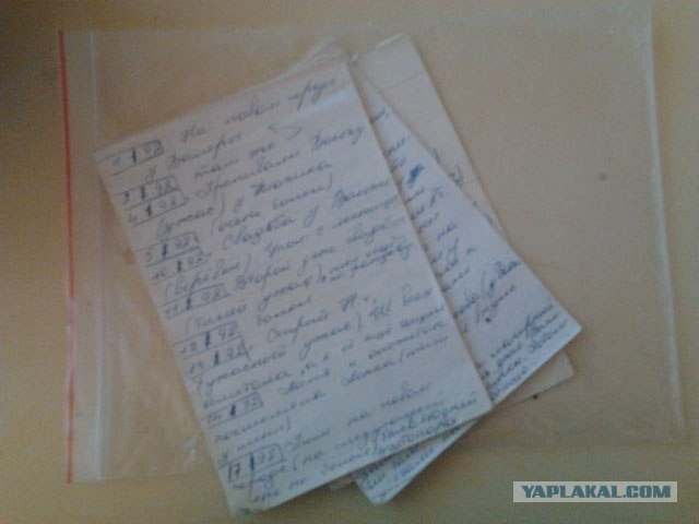 Один год нежизни