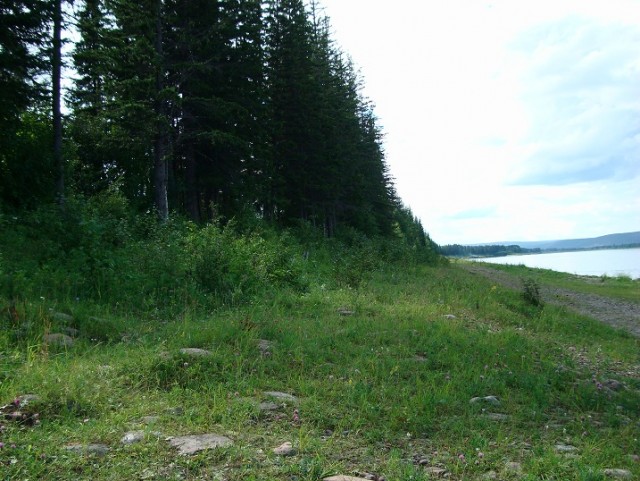 Небольшая дверь в Лето!