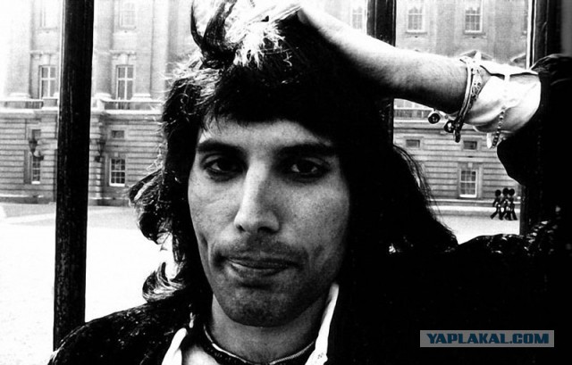 23 ноября 1991 года Фредди Меркьюри сообщил