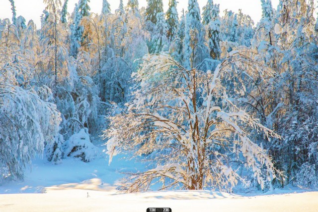 Зимняя сказка в Пермском крае (Россия,январь 2016)