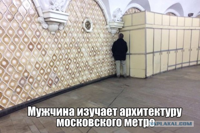 Подборка картинок из сети