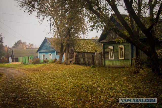 Я узнал, что у меня есть огромная семья