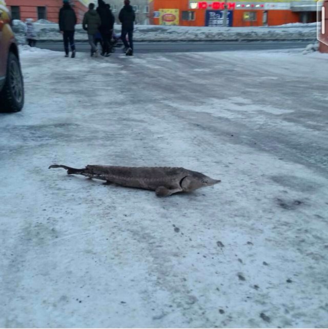 В Красноярском крае сильный ветер сорвал крышу с пятиэтажки