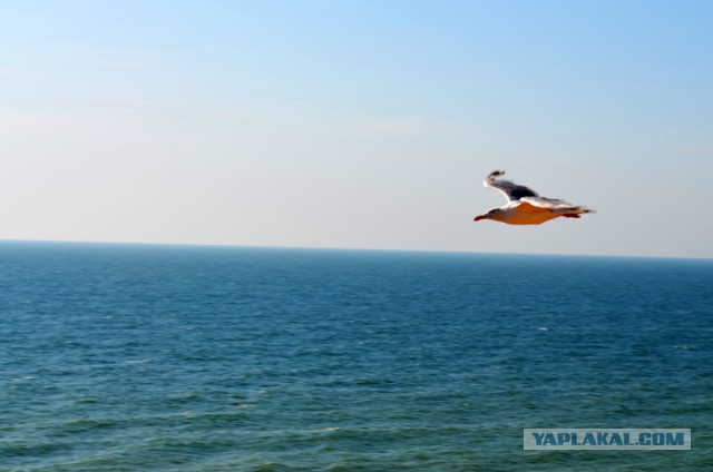 Живу у моря