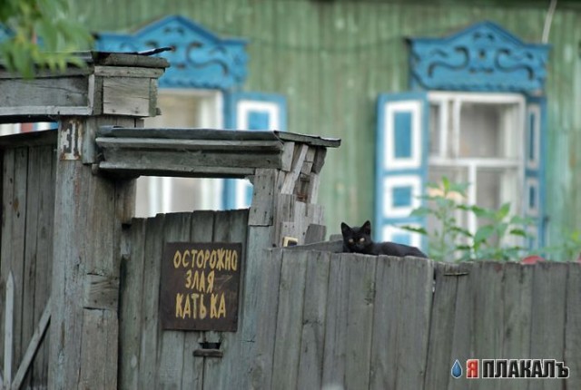 Катька?