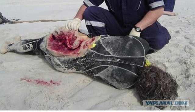 Подборка интересных и веселых фото