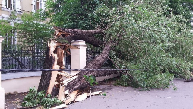 Сильная гроза в Москве и ее последствия