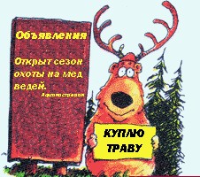 Олень