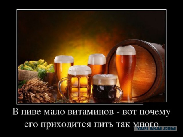 Алкогольный юмор 18+