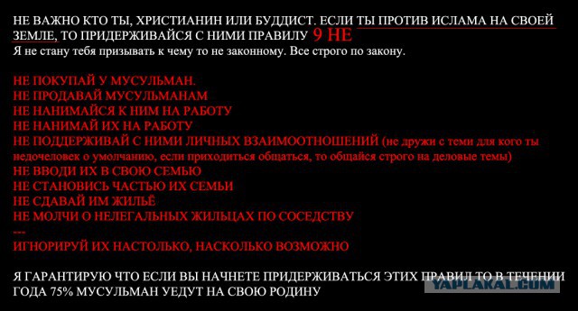 Что делать русским националистам с новым скандалом вокруг Чечни?