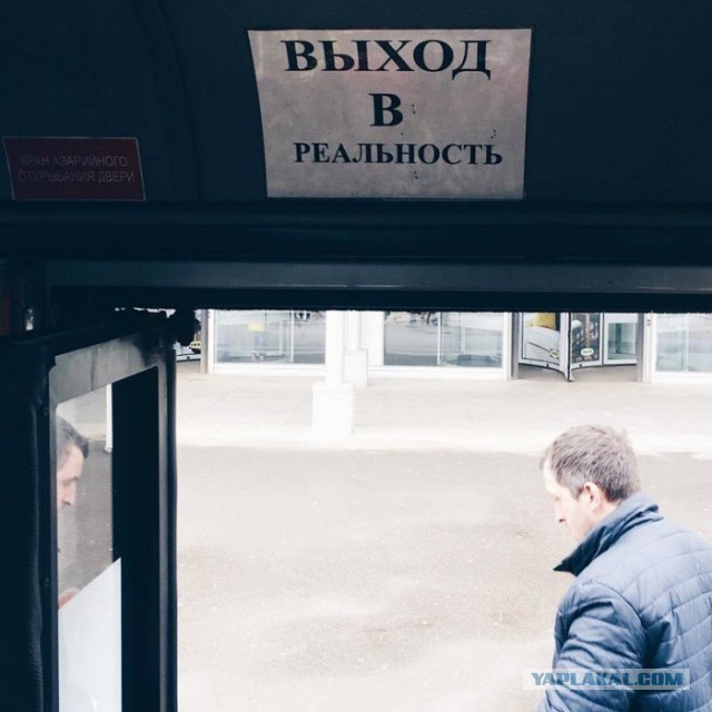 Привет из соцсетей
