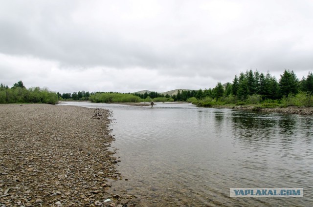 Морское меню Колымского рыбака