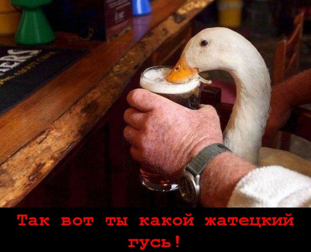 184 картинки для поднятия настроения!