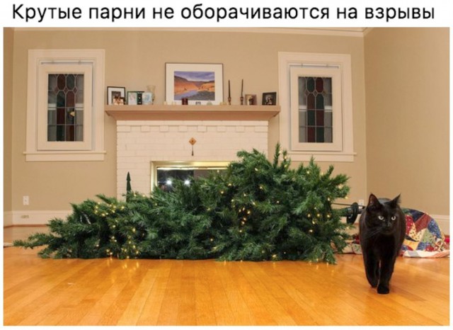 Праздник к нам при...