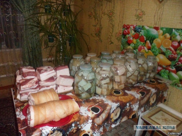 Свиное сало: мифы, аргументы и факты