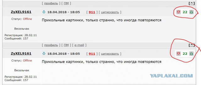 Невеселые факты о животных в иллюстрациях Брук Баркер