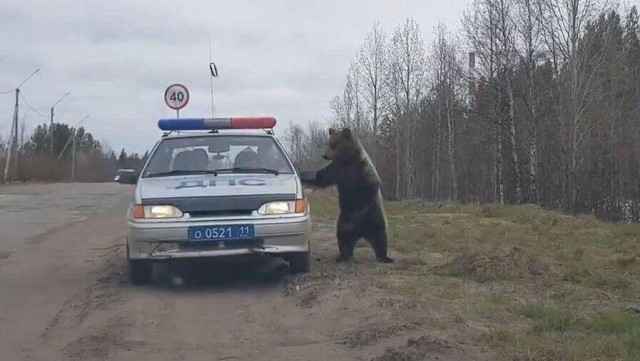 Подборка интересных и веселых картинок