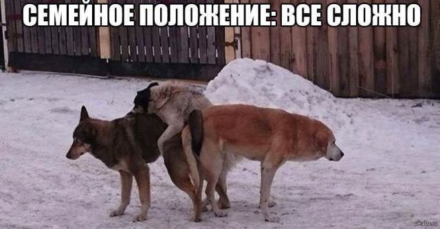 Немного картинок в эту пятницу