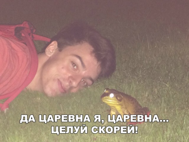 Нестандартный юмор